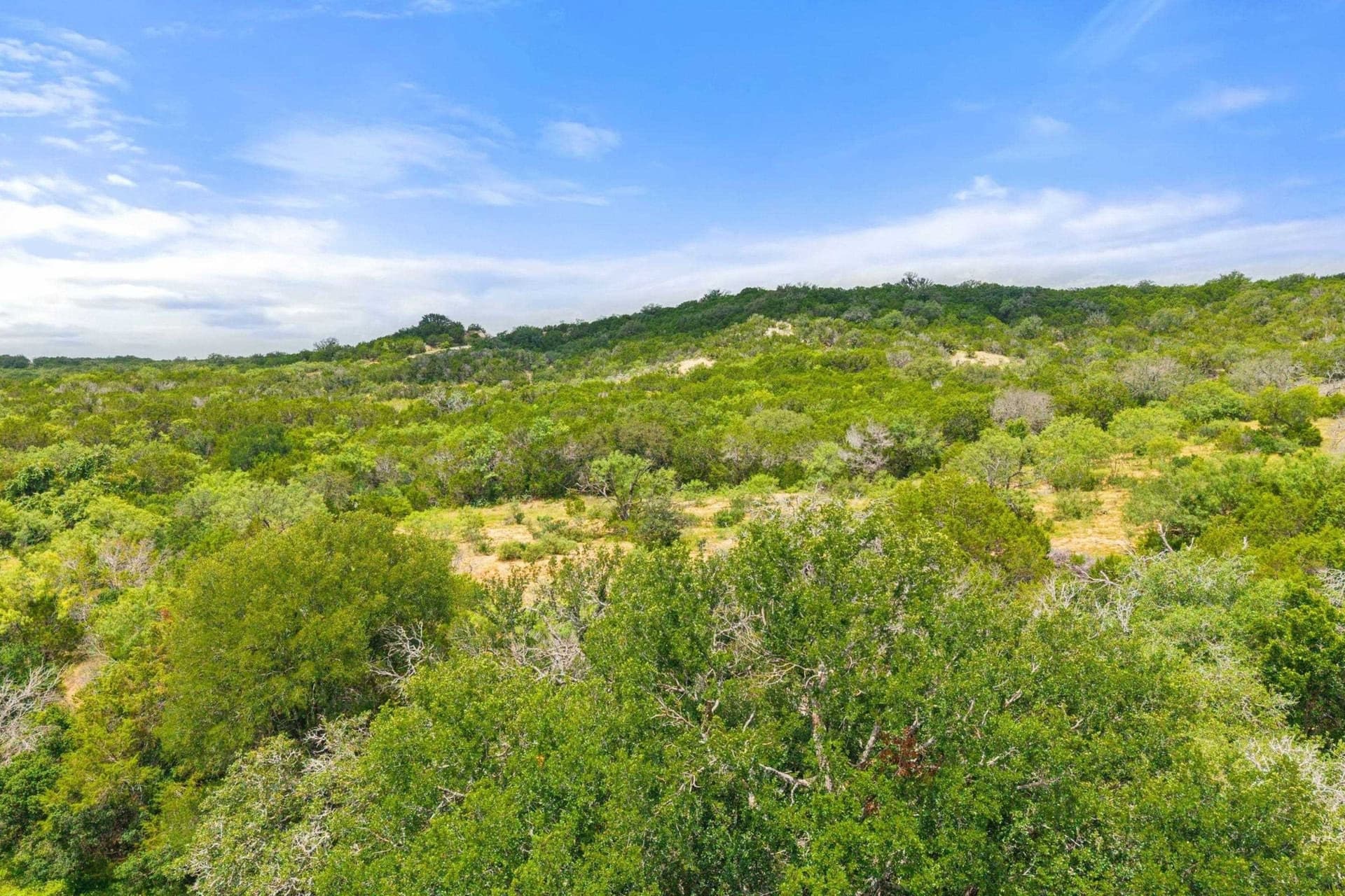 232.8 acres in Burnet County - photo 23