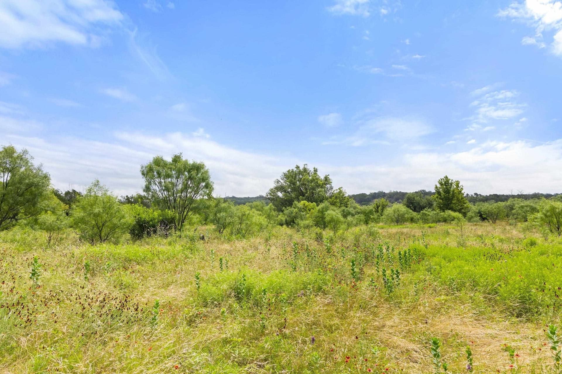 232.8 acres in Burnet County - photo 30