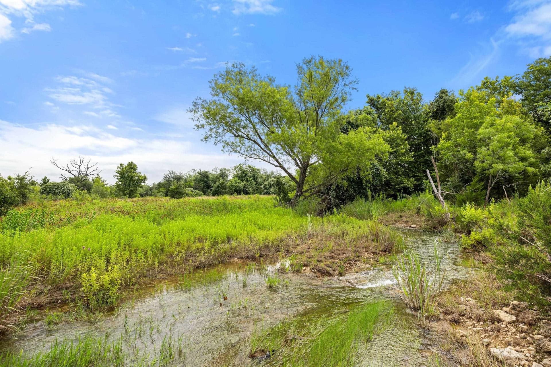 232.8 acres in Burnet County - photo 10