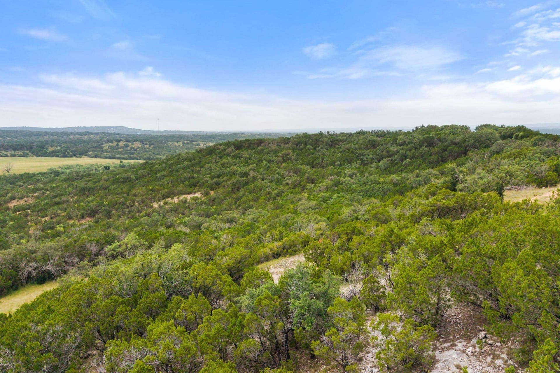 232.8 acres in Burnet County - photo 19