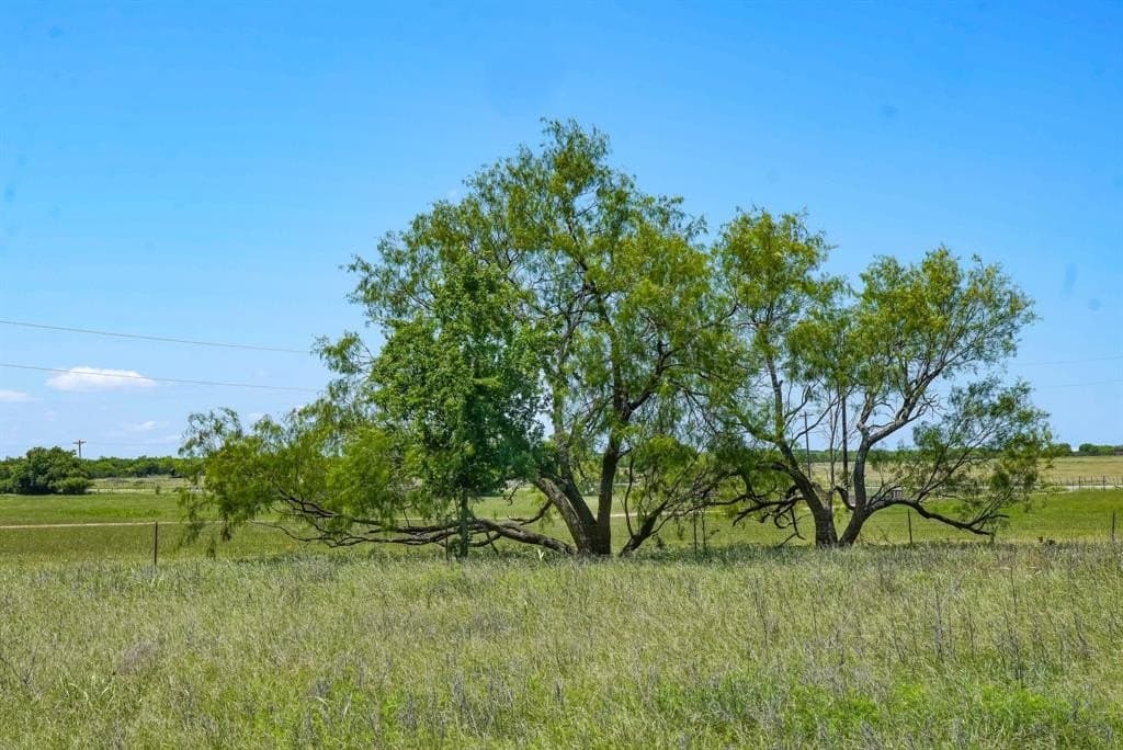 20.92 acres in Jack County gallery image 3