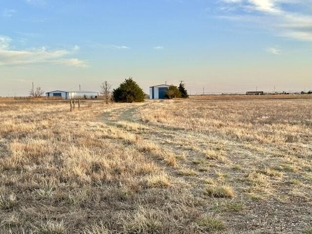 32.9 acres in Hale County gallery image 4