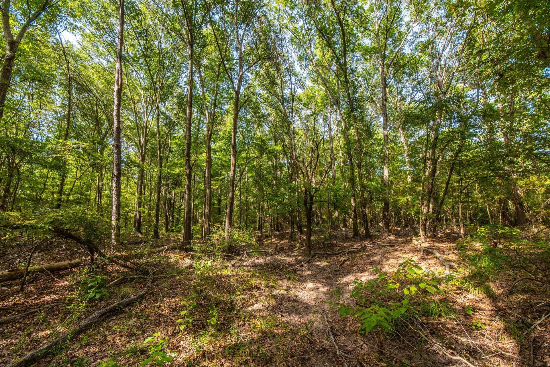 94.5 acres in Henderson County - photo 13