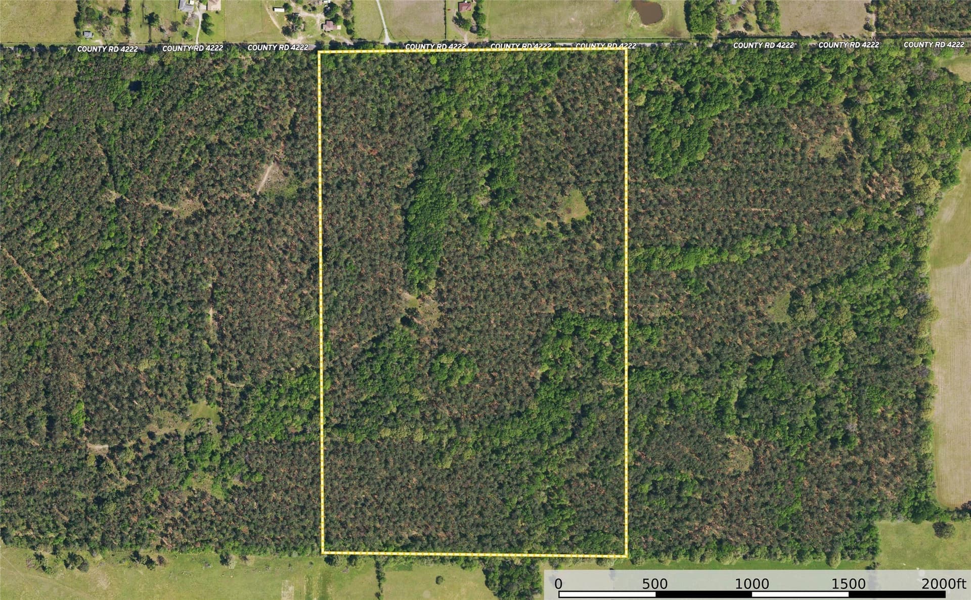 94.5 acres in Henderson County - photo 27