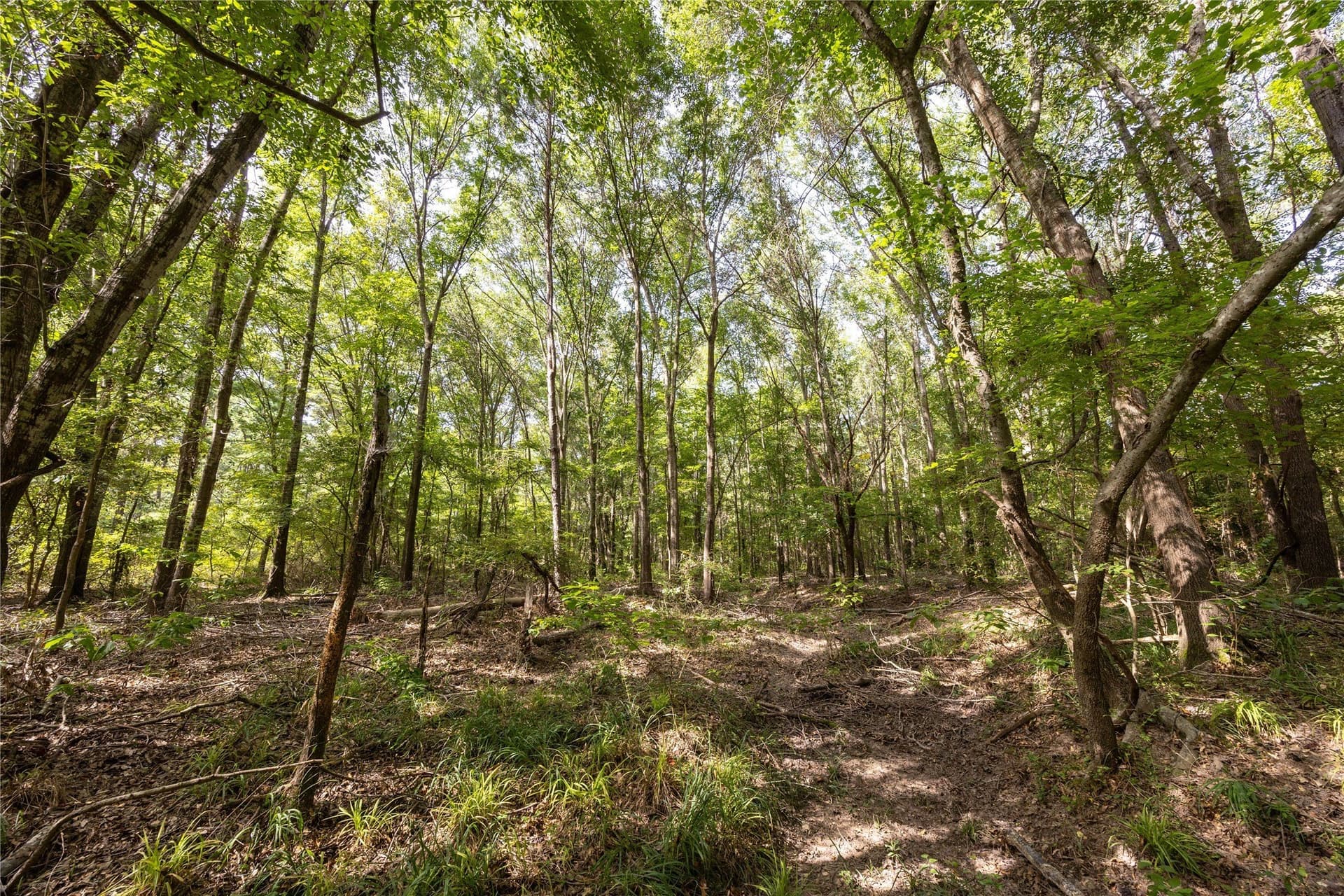 94.5 acres in Henderson County - photo 12