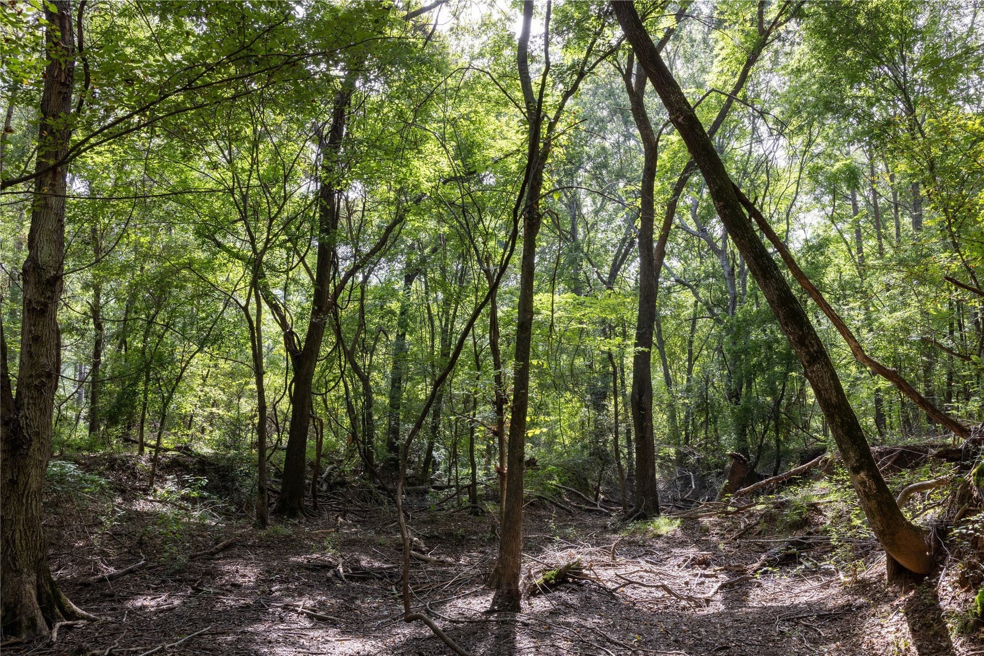 94.5 acres in Henderson County - photo 3