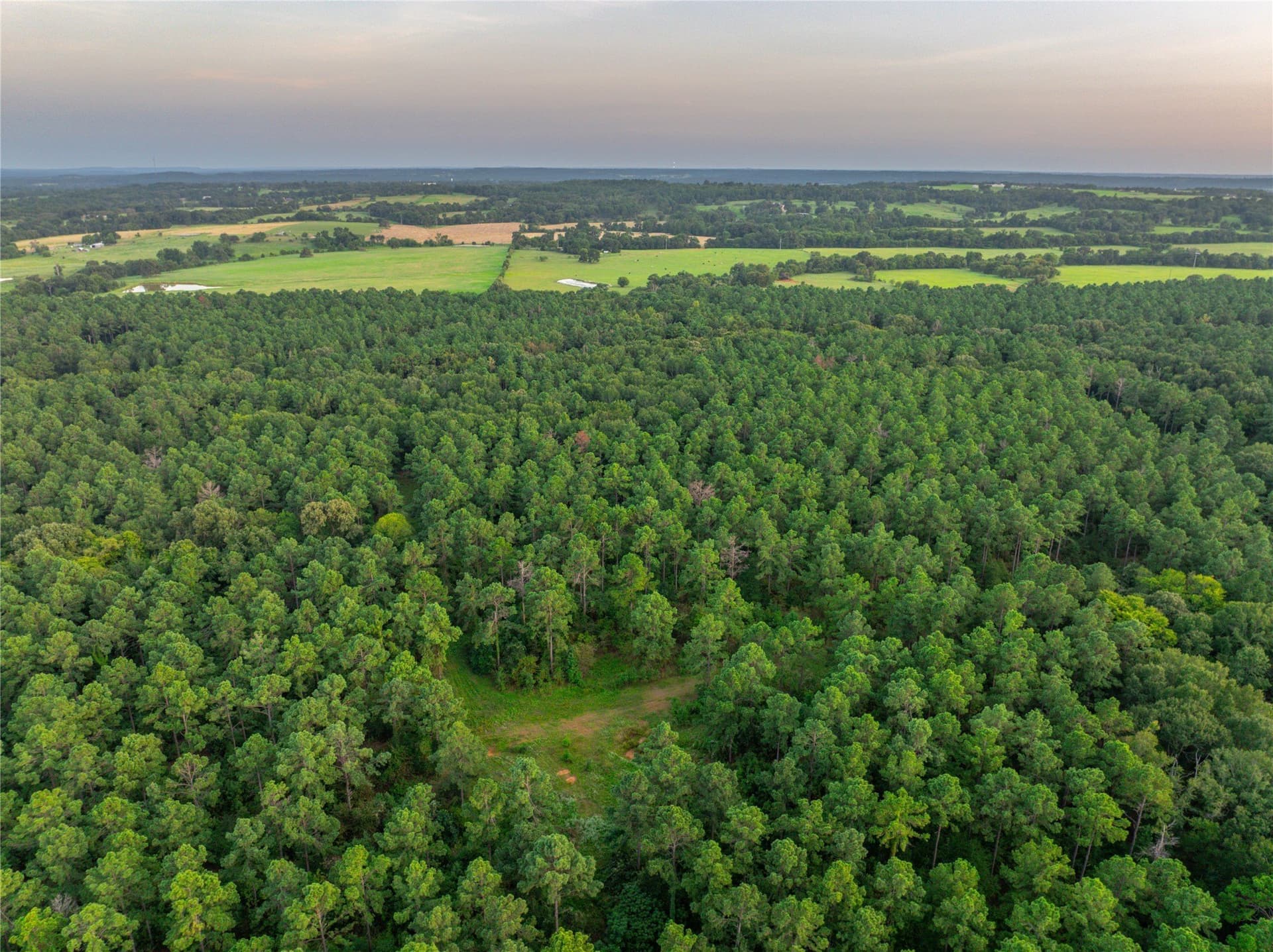 94.5 acres in Henderson County - photo 21