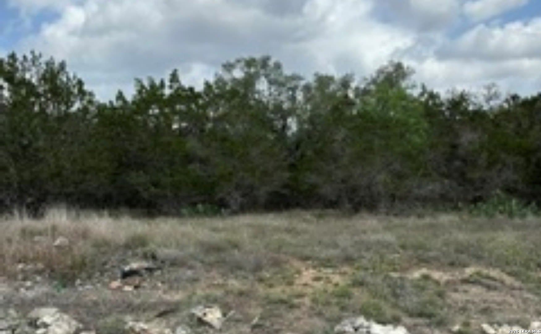 0.23 acres in Comal County - photo 11