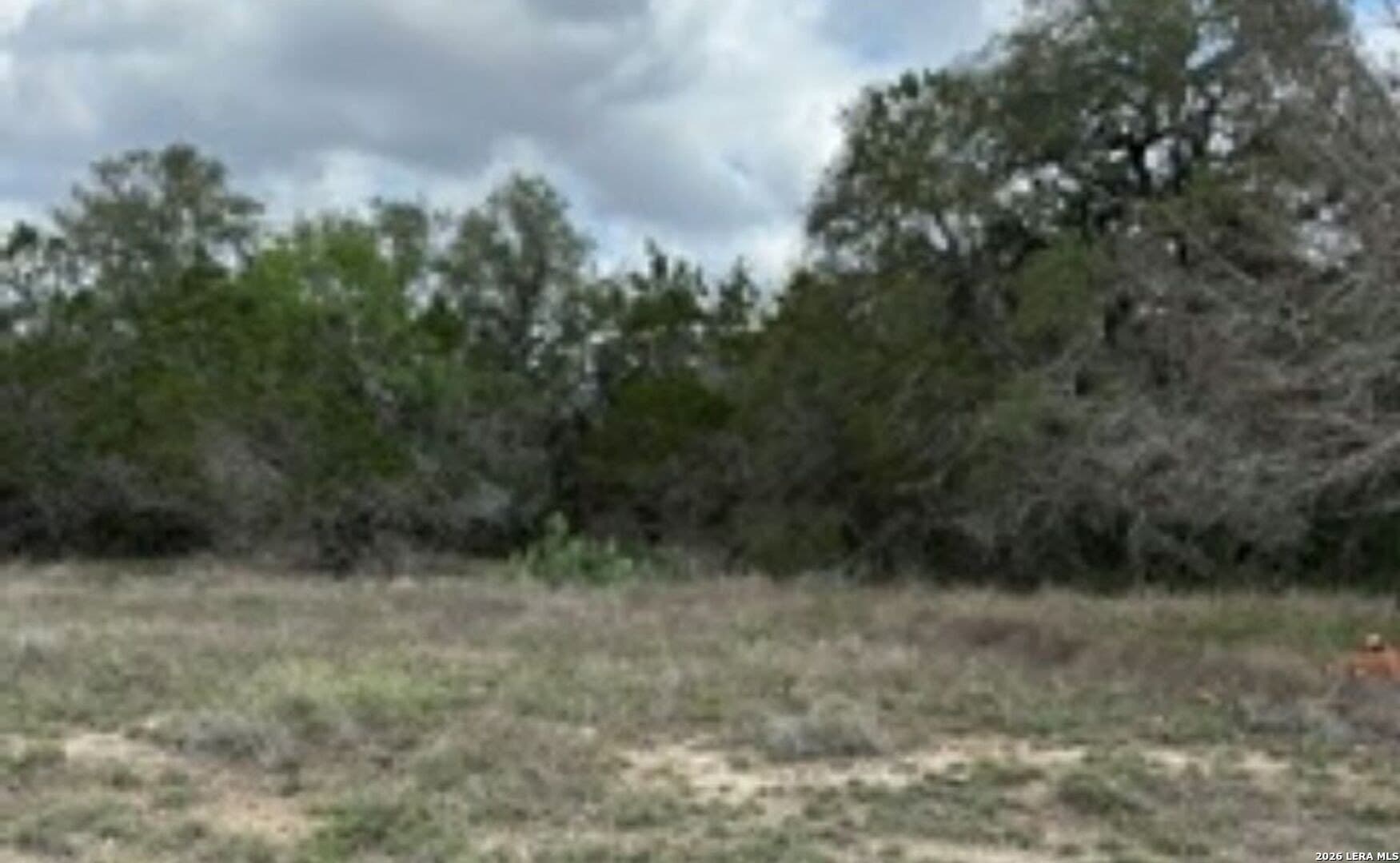 0.23 acres in Comal County - photo 8