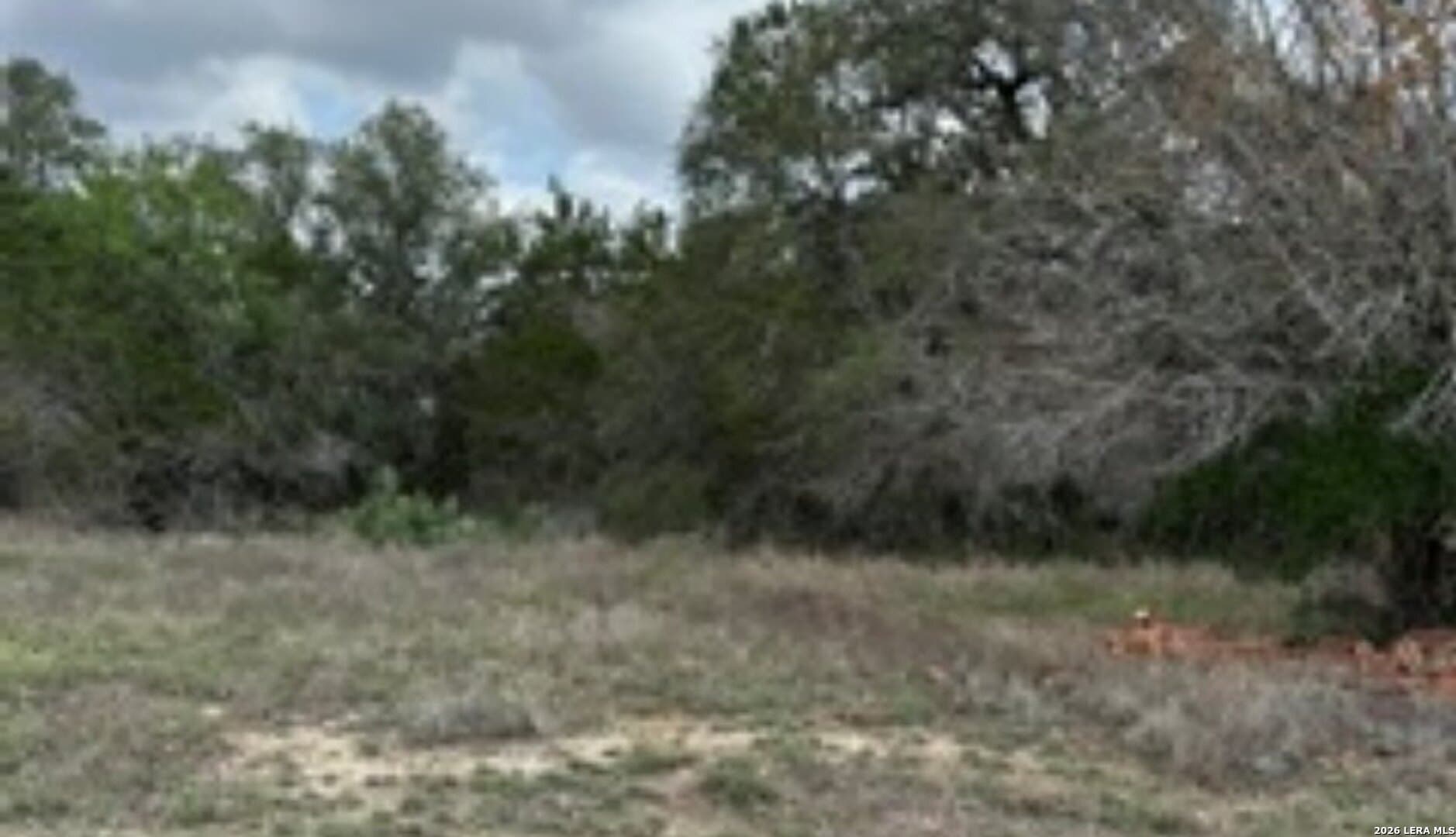 0.23 acres in Comal County gallery image 3