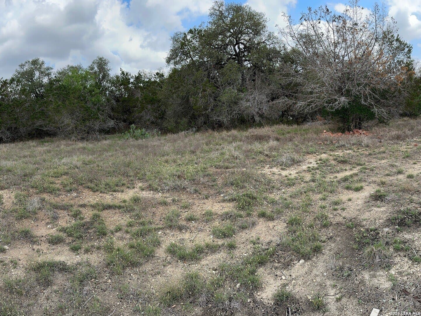 0.23 acres in Comal County gallery image 2