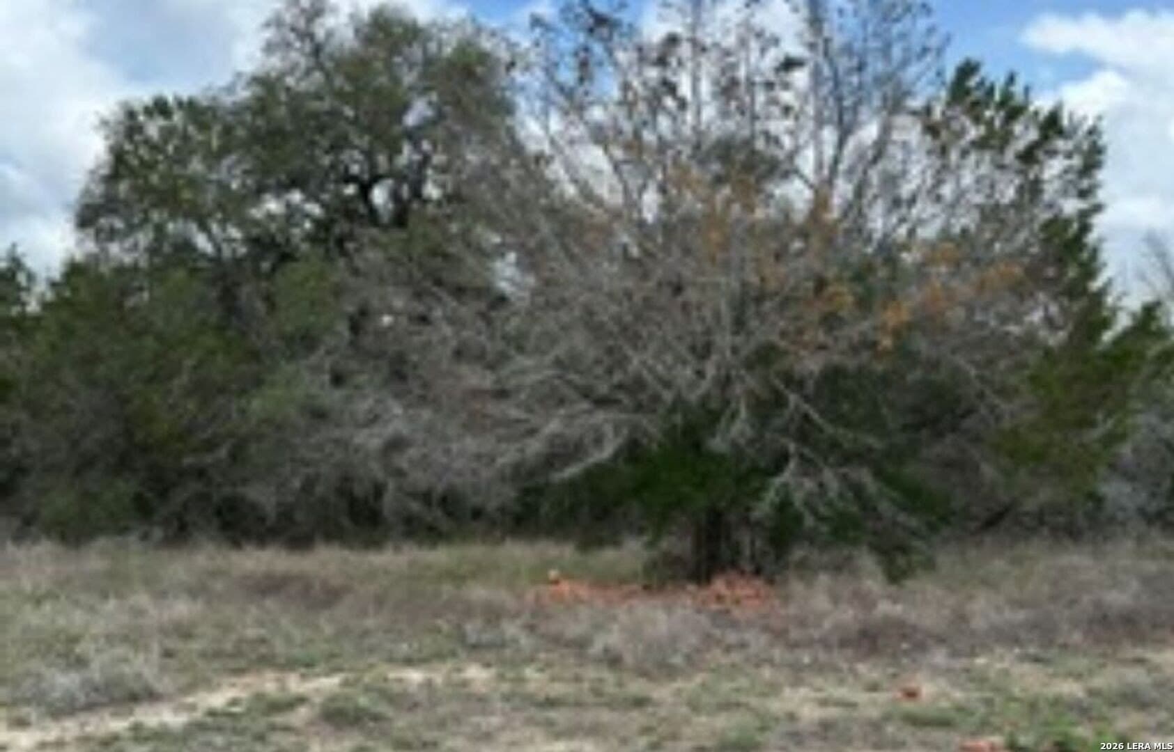0.23 acres in Comal County - photo 9