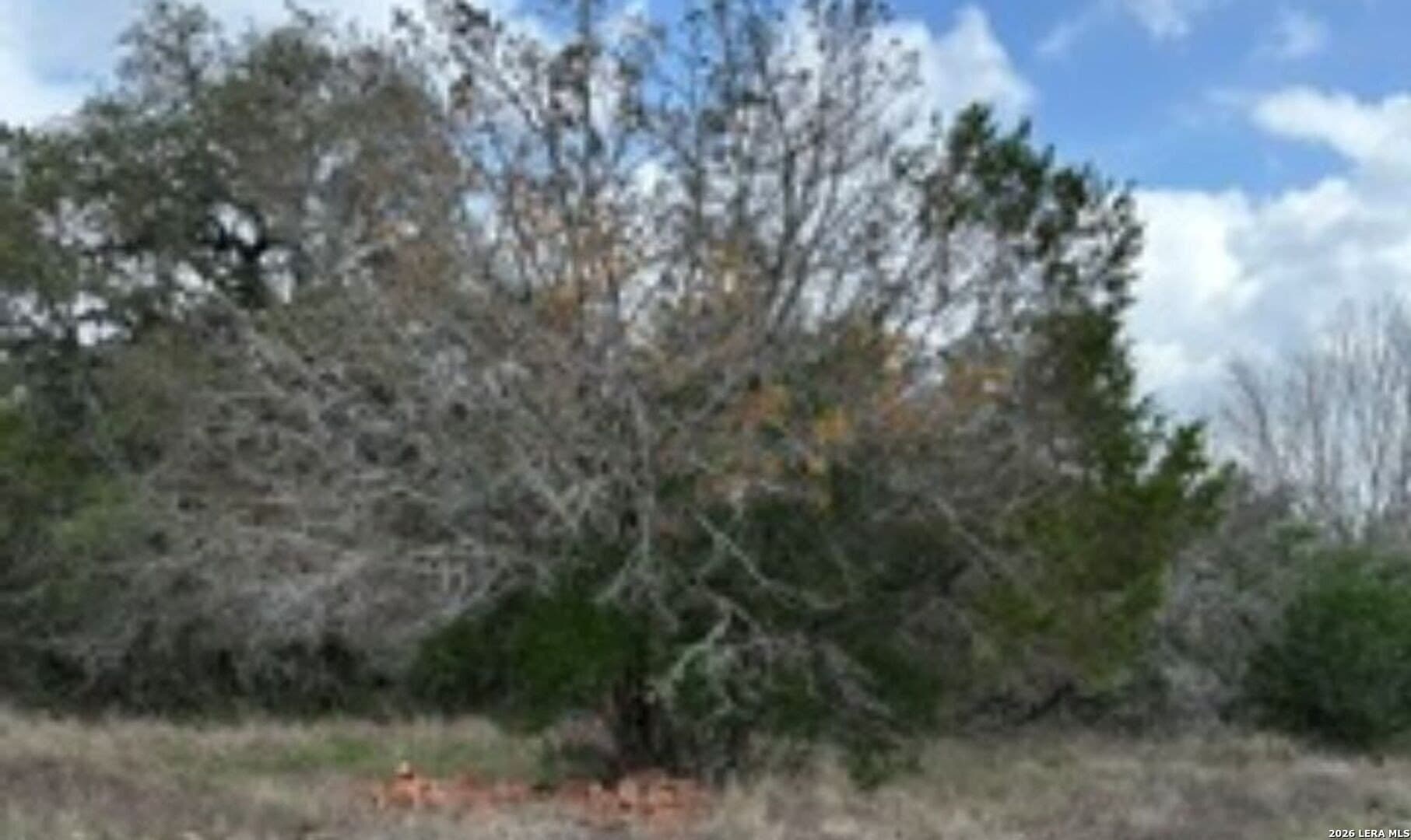 0.23 acres in Comal County gallery image 4