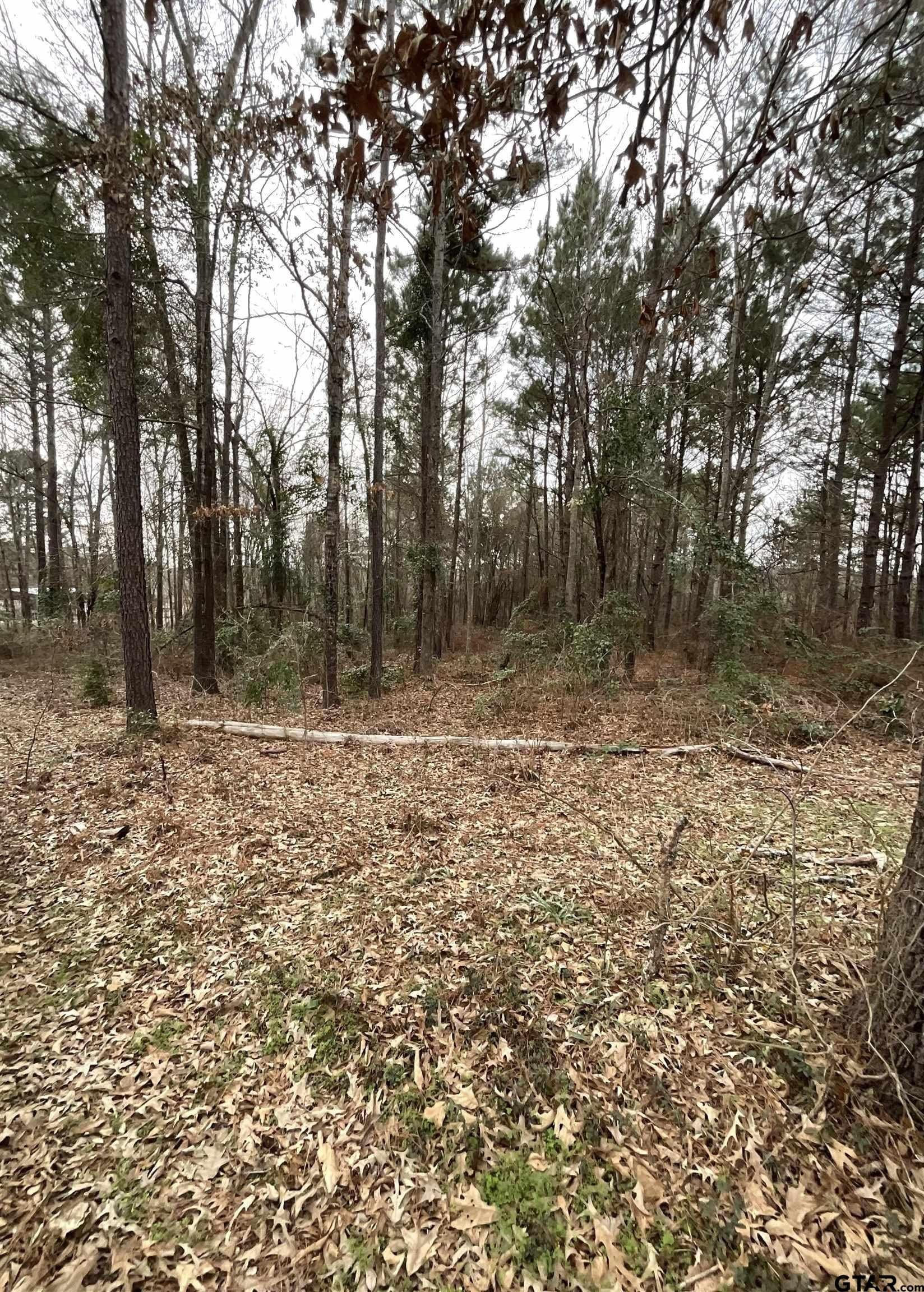 6.8 acres in Smith County gallery image 4