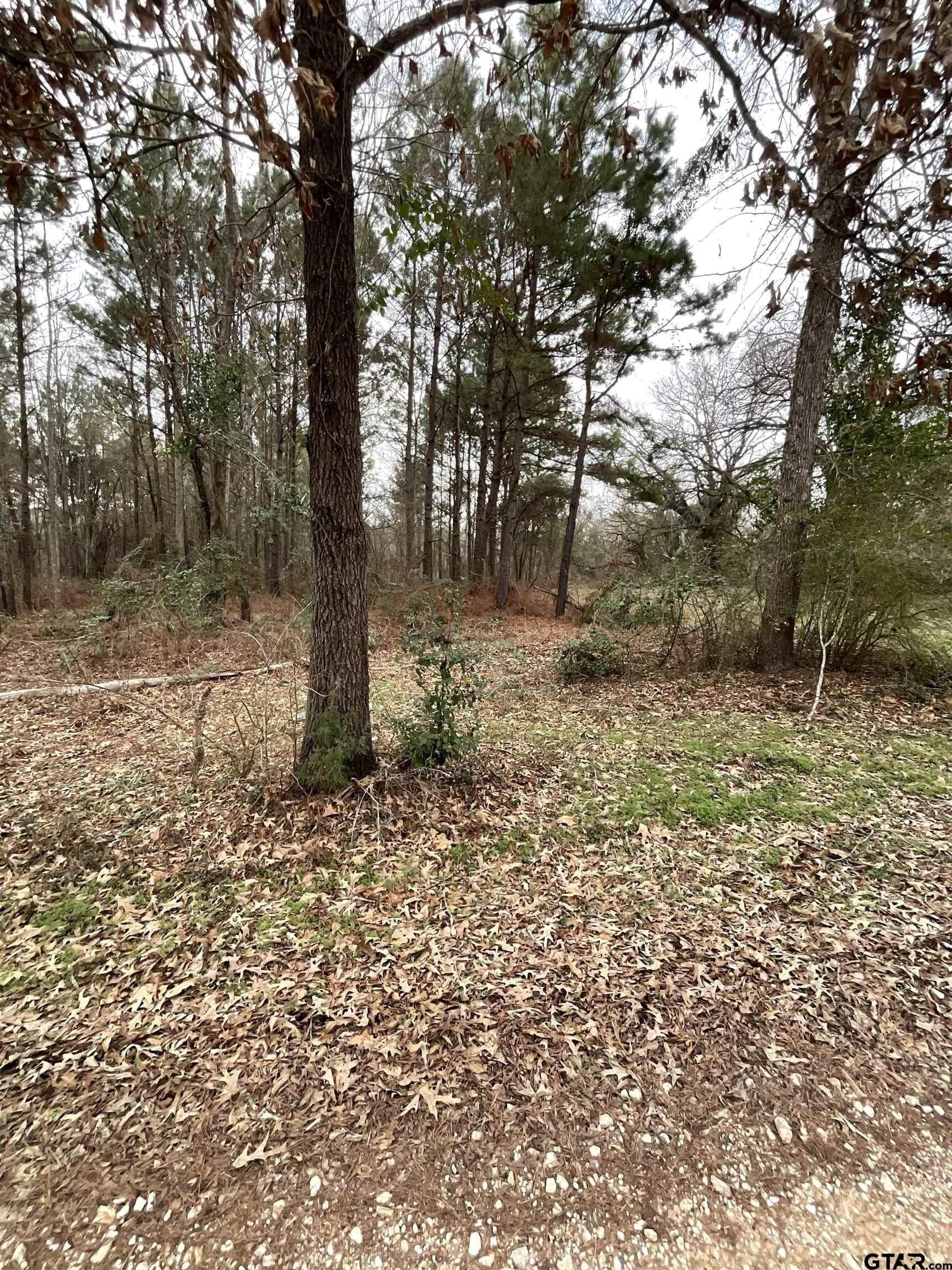 6.8 acres in Smith County featured view