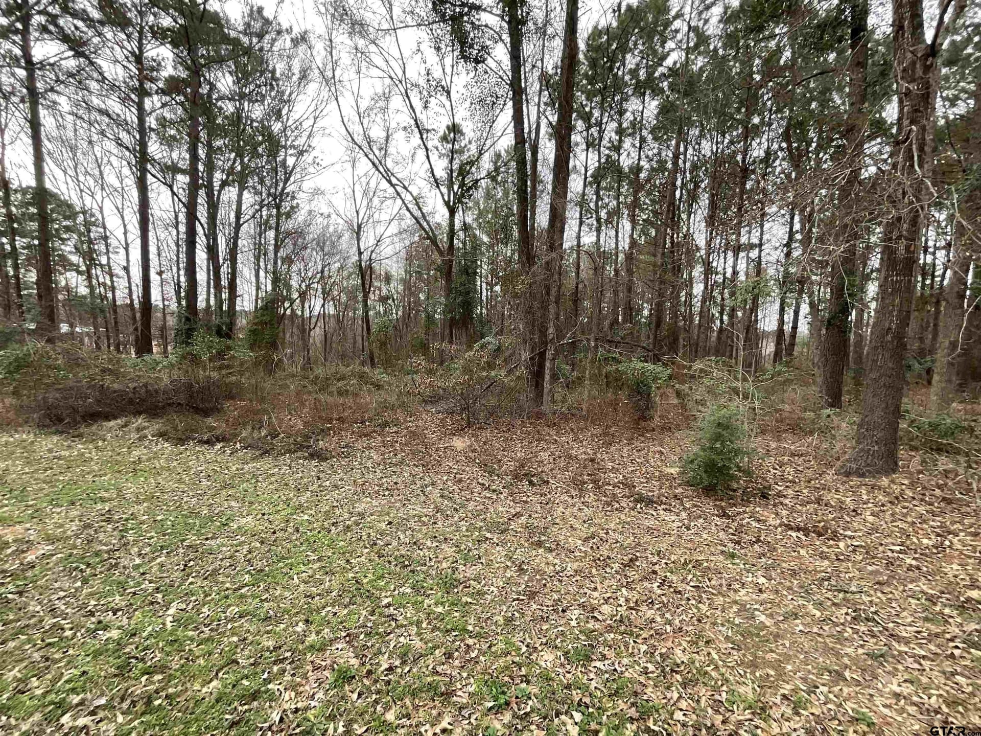 6.8 acres in Smith County gallery image 2