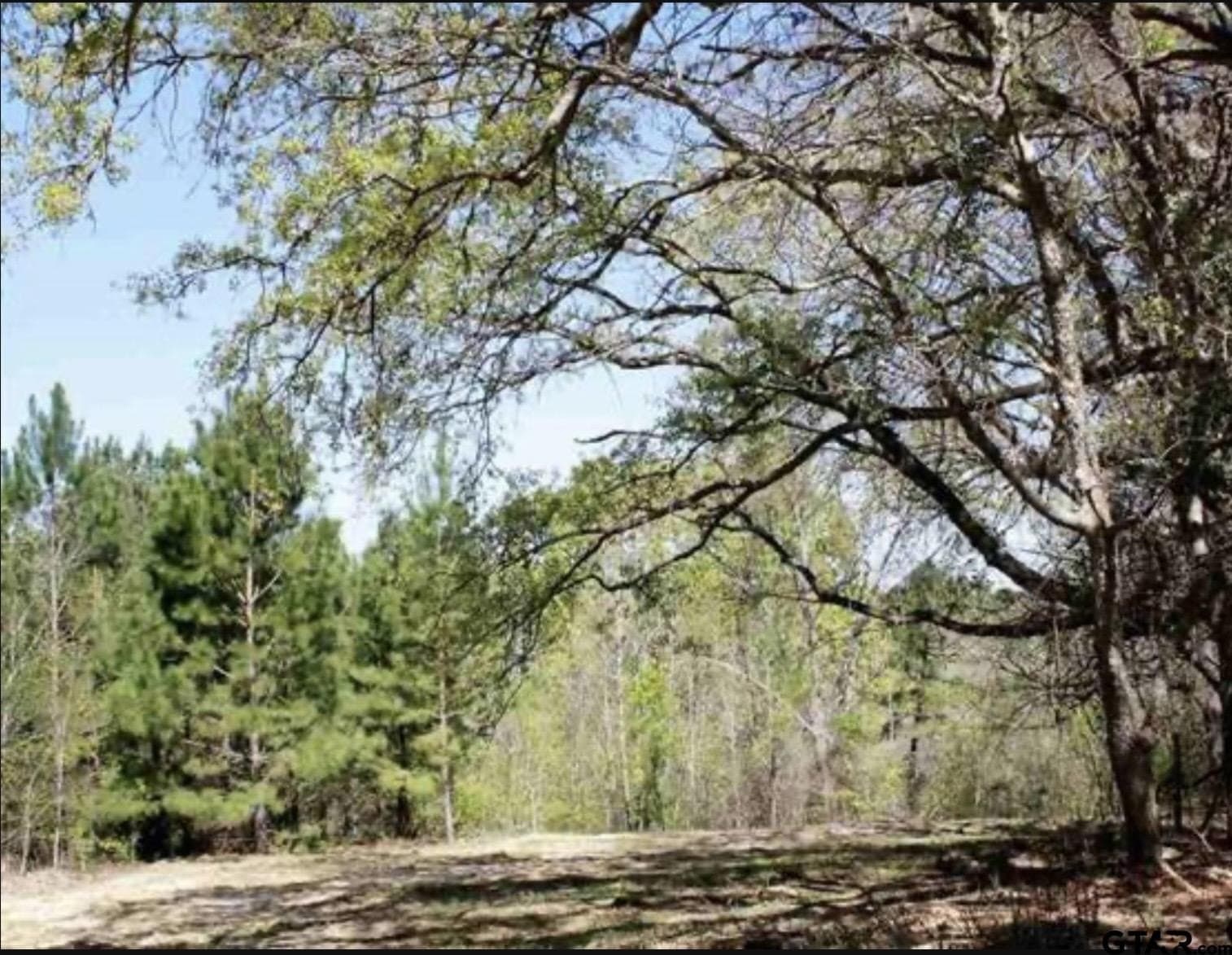 6.8 acres in Smith County
