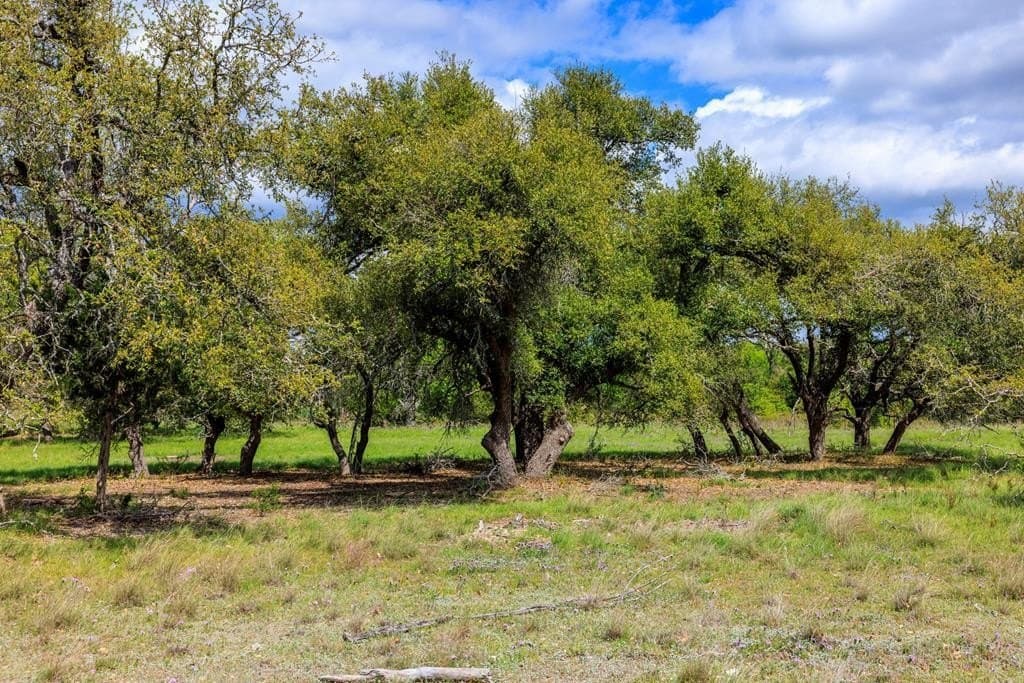 10.03 acres in Gillespie County gallery image 4