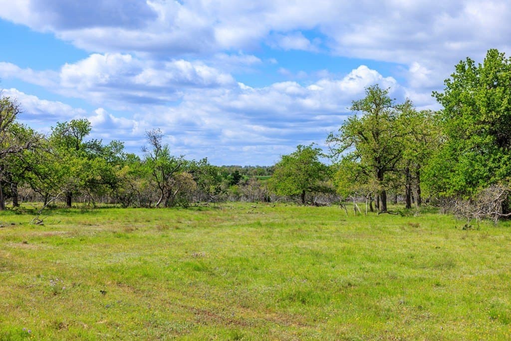 10.03 acres in Gillespie County featured view