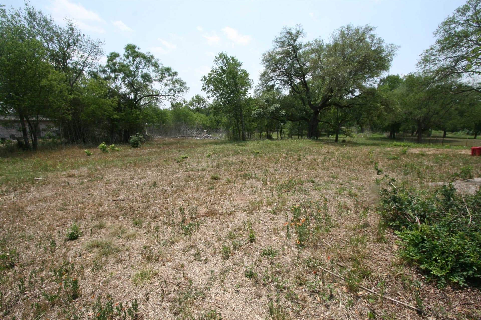 1.5 acres in Burnet County gallery image 2