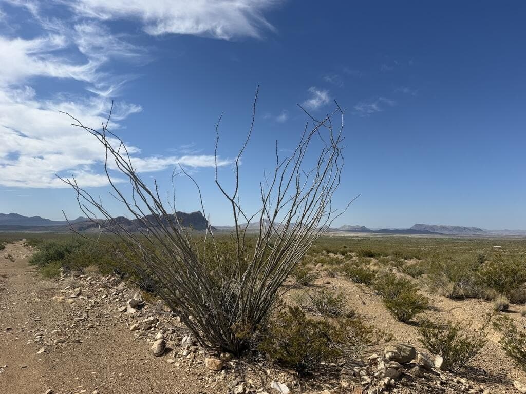 40 acres in Brewster County - photo 6