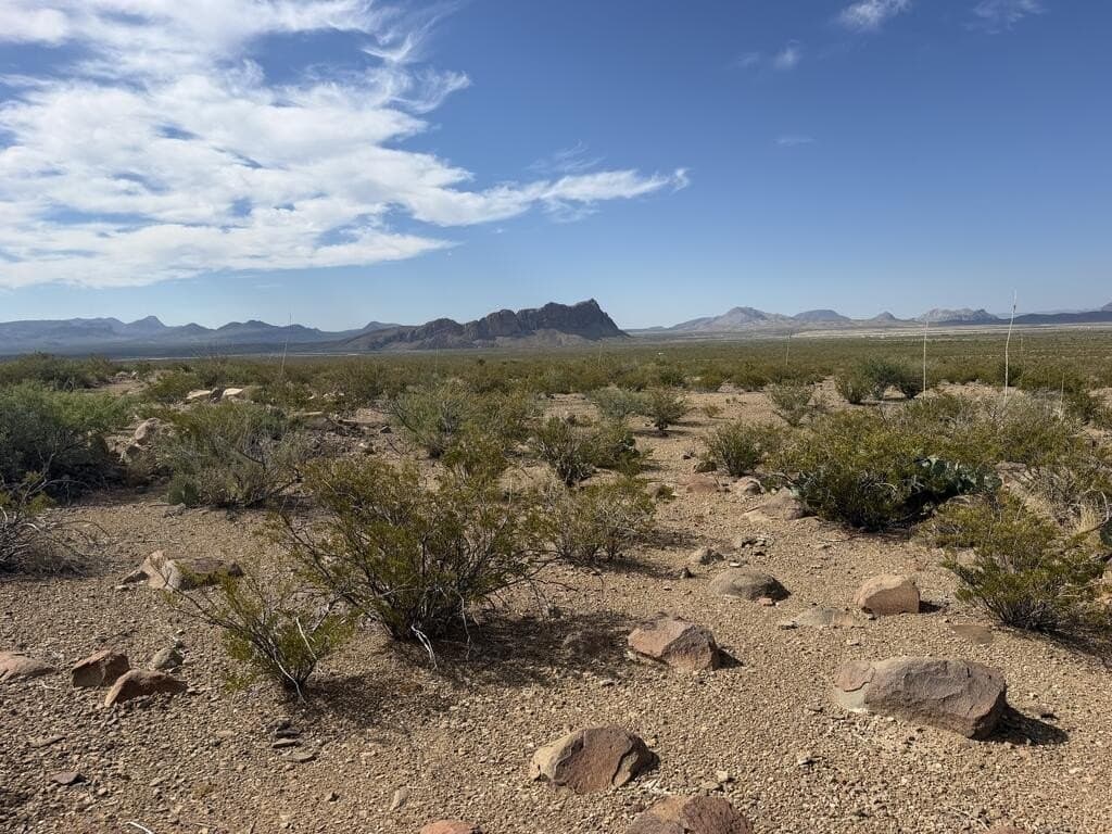 40 acres in Brewster County - photo 10
