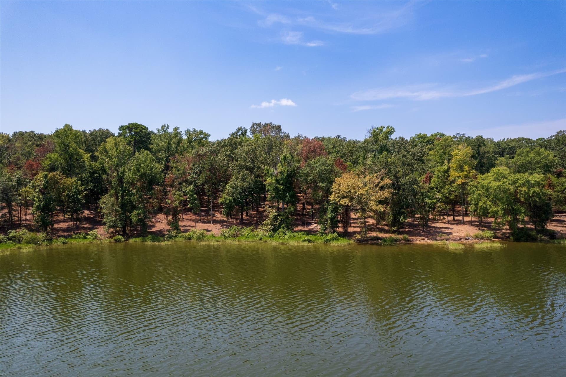 1.61 acres in Camp County - photo 8