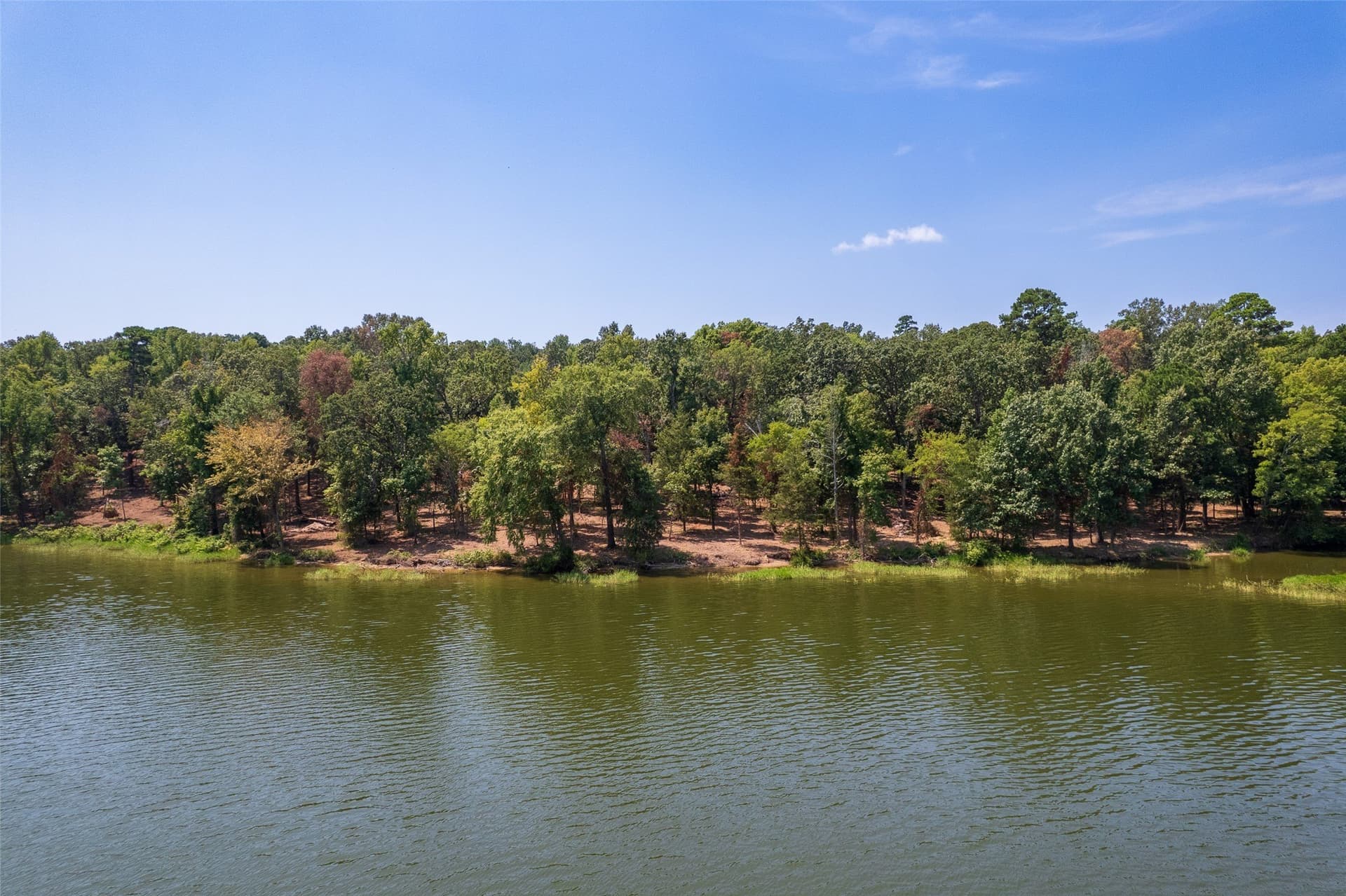 1.61 acres in Camp County - photo 7