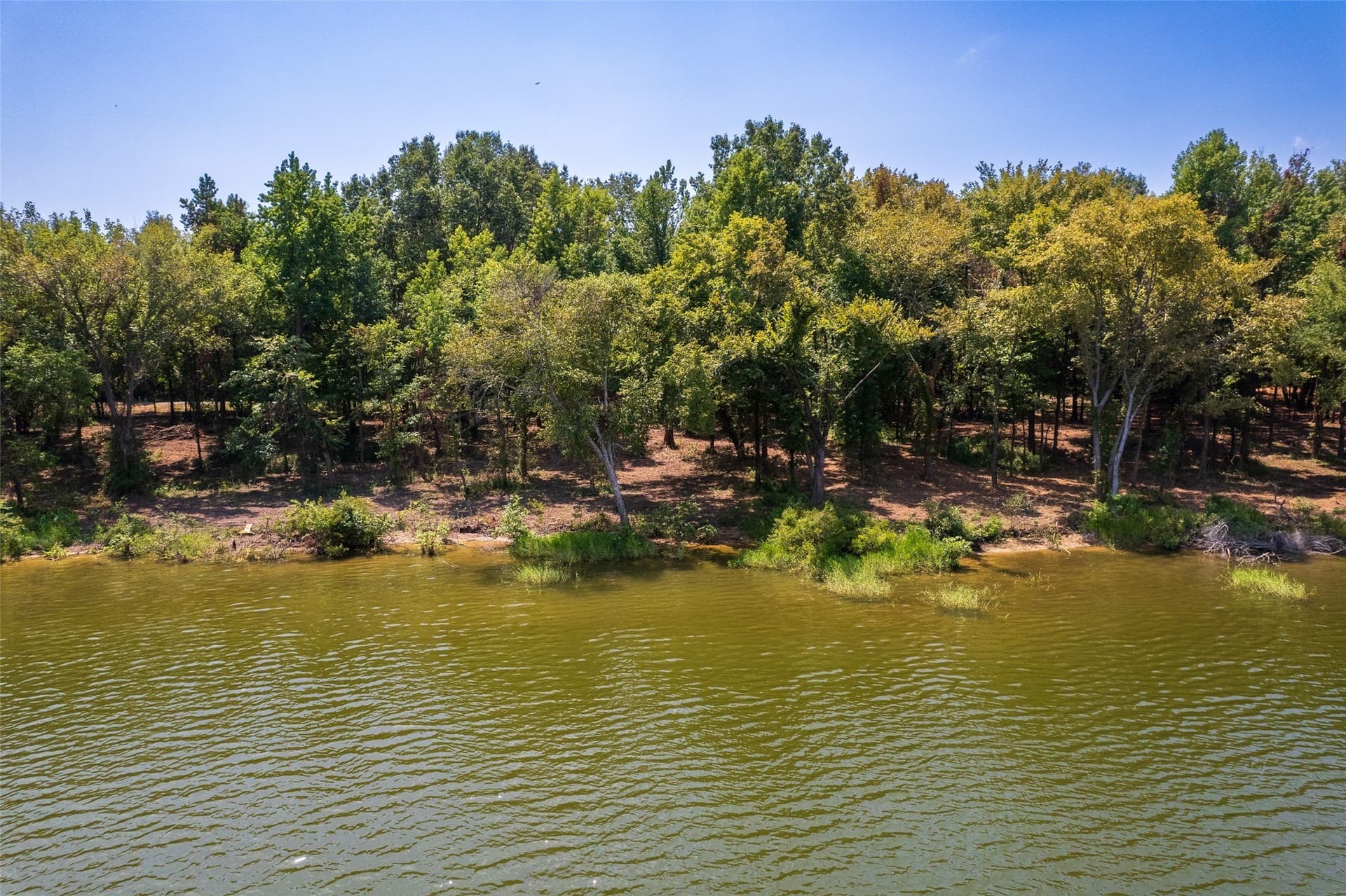 1.61 acres in Camp County - photo 10