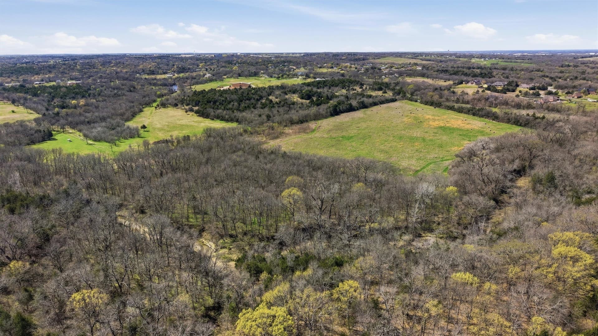 68.25 acres in Grayson County - photo 15