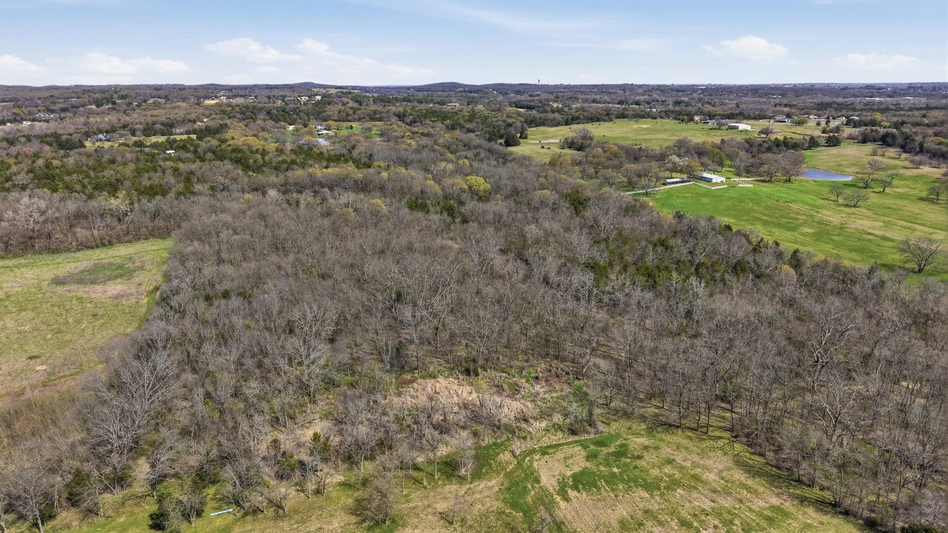 68.25 acres in Grayson County - photo 12