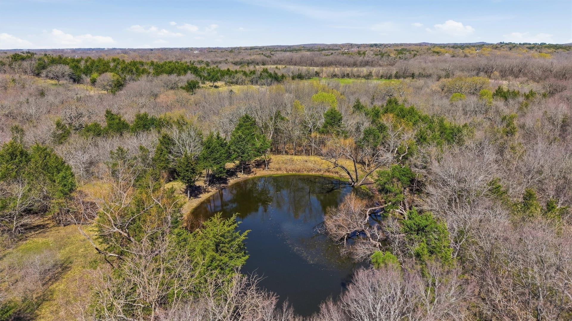 68.25 acres in Grayson County - photo 18