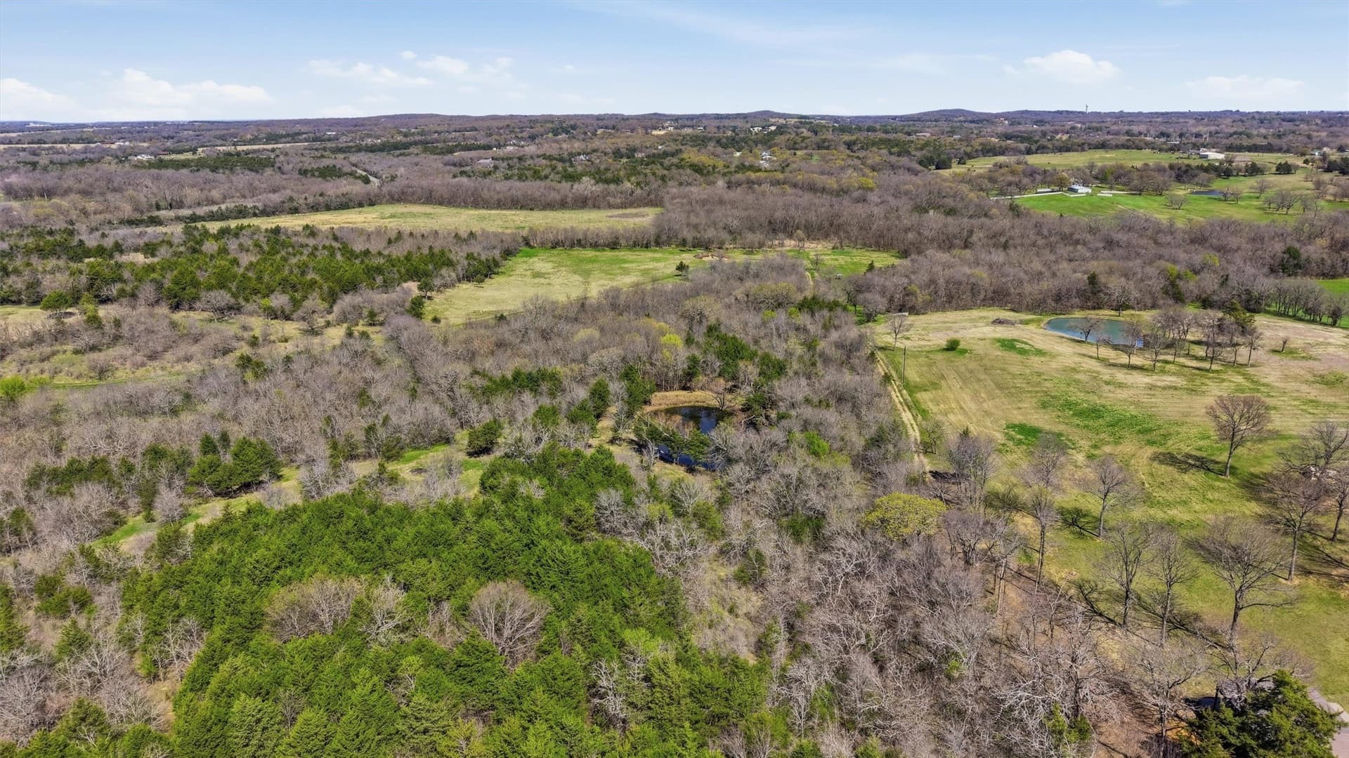 68.25 acres in Grayson County - photo 20