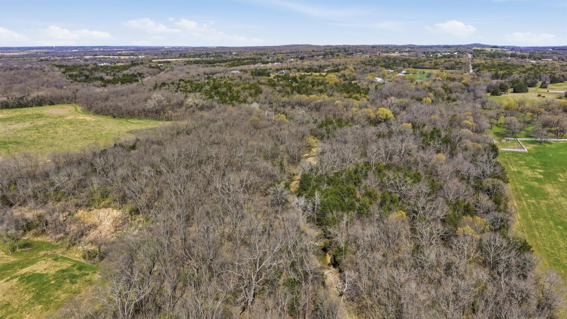 68.25 acres in Grayson County - photo 13