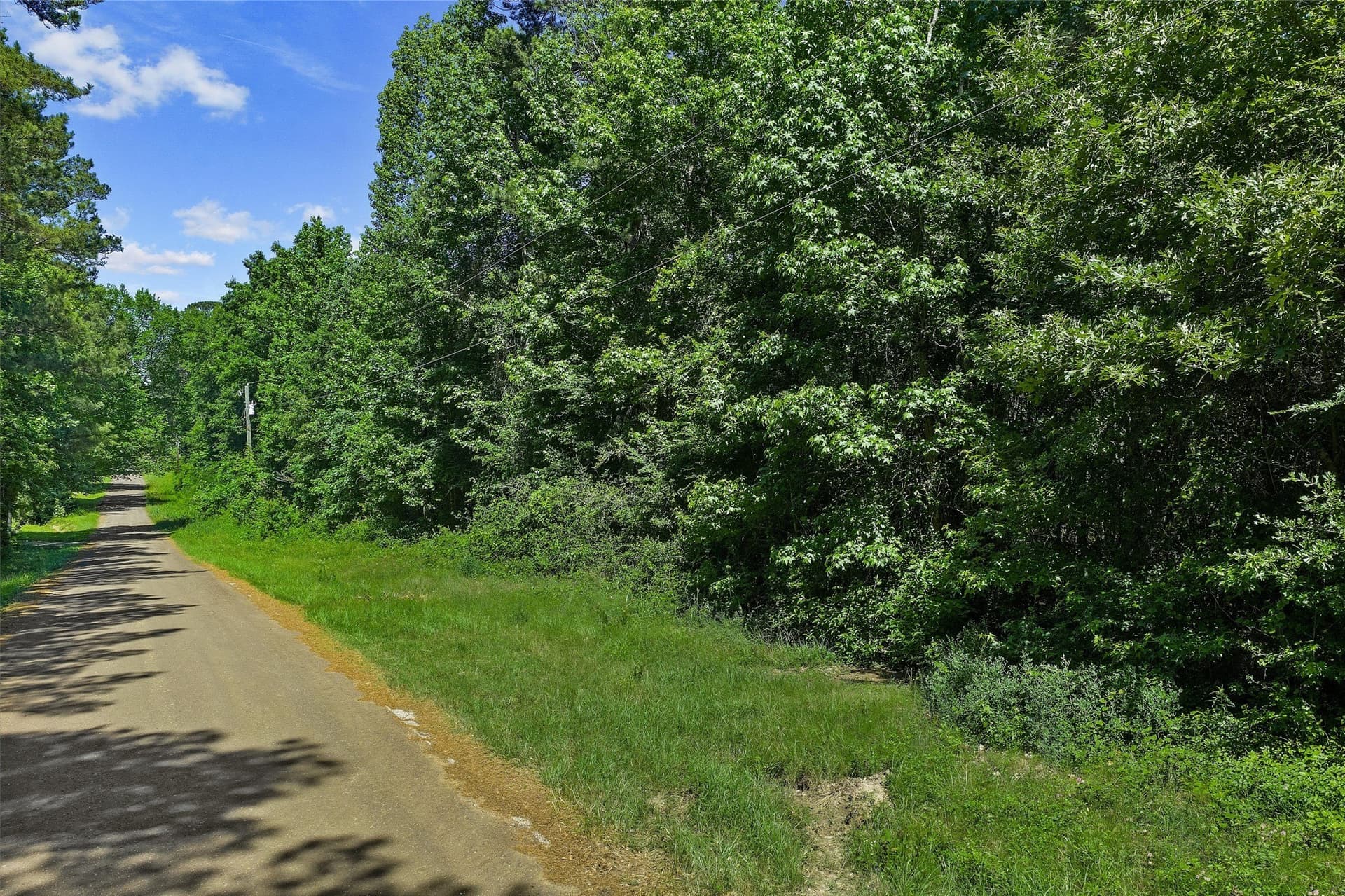 2 acres in Panola County - photo 12
