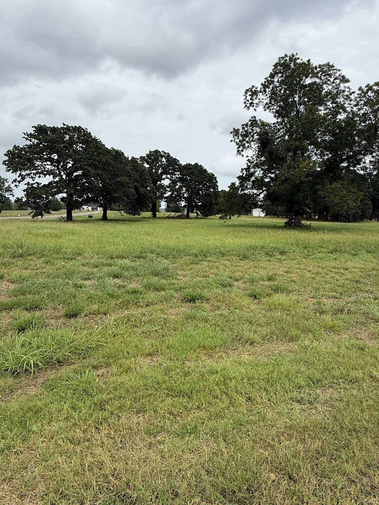 1.04 acres in Fannin County gallery image 3
