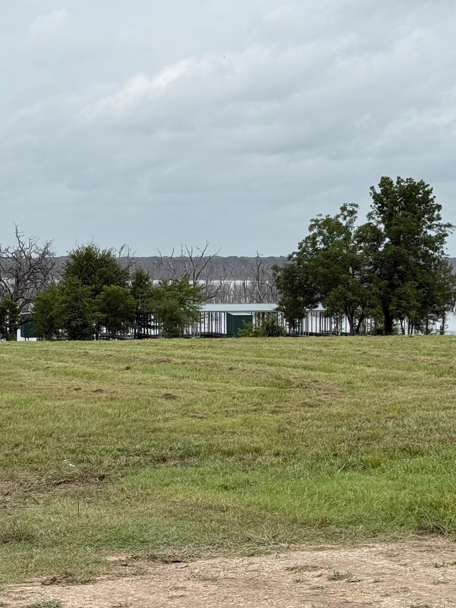 1.04 acres in Fannin County gallery image 4