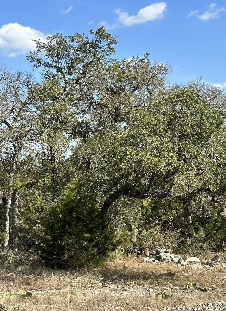 0.3 acres in Blanco County - photo 9