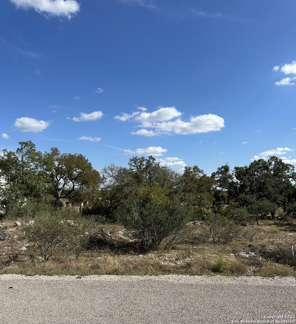 0.3 acres in Blanco County - photo 8
