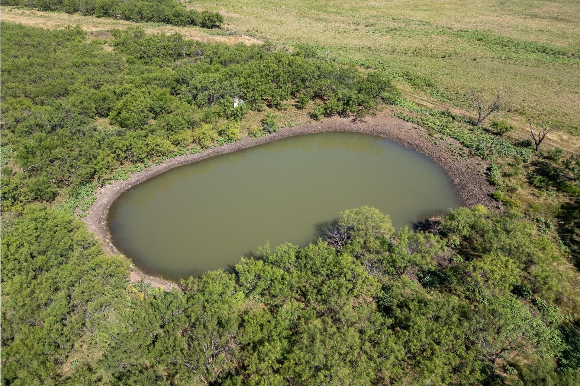 80 acres in Callahan County - photo 13