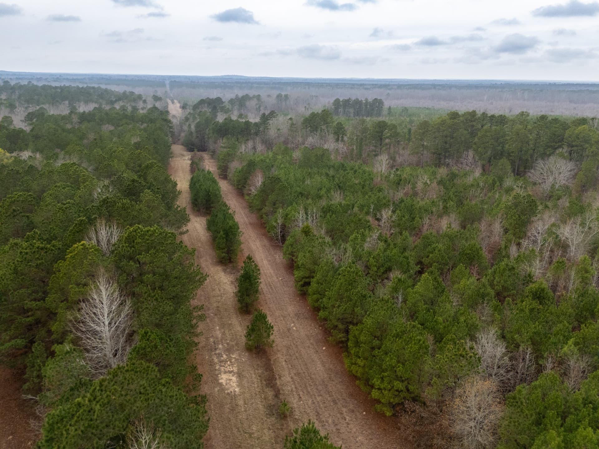 25 acres in Harrison County - photo 2