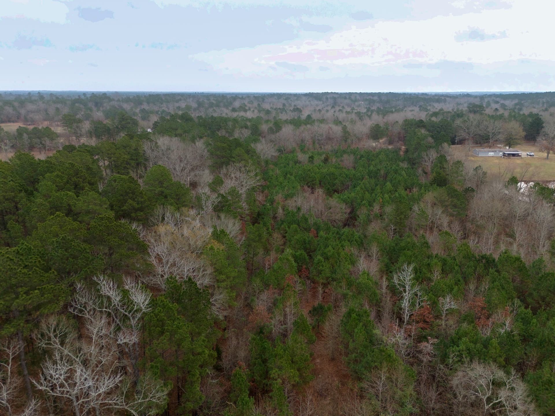 25 acres in Harrison County - photo 24