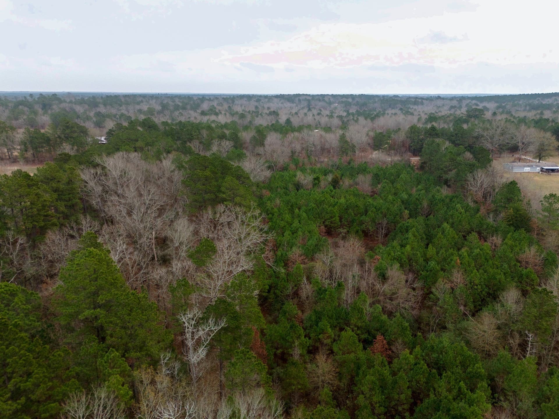 25 acres in Harrison County - photo 10