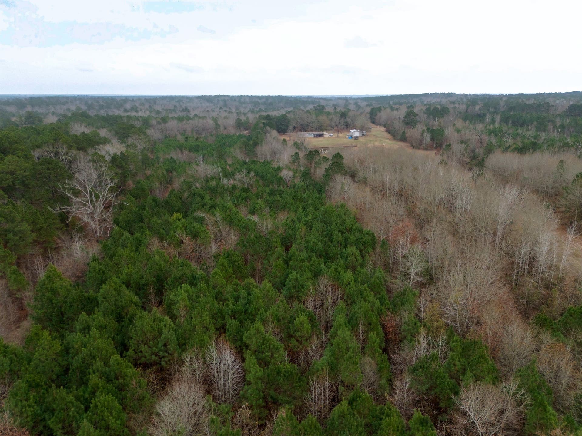 25 acres in Harrison County - photo 11