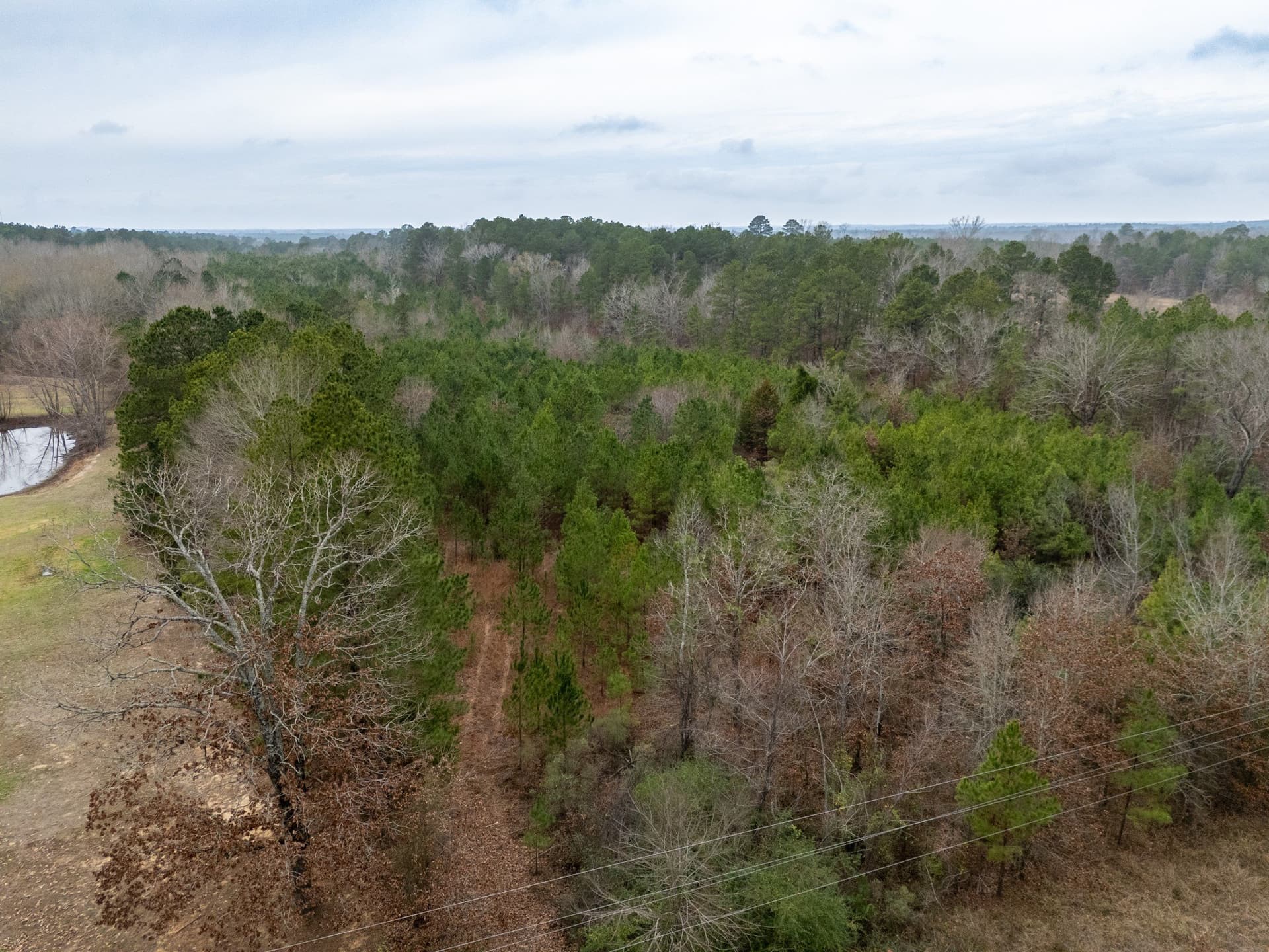 25 acres in Harrison County - photo 6