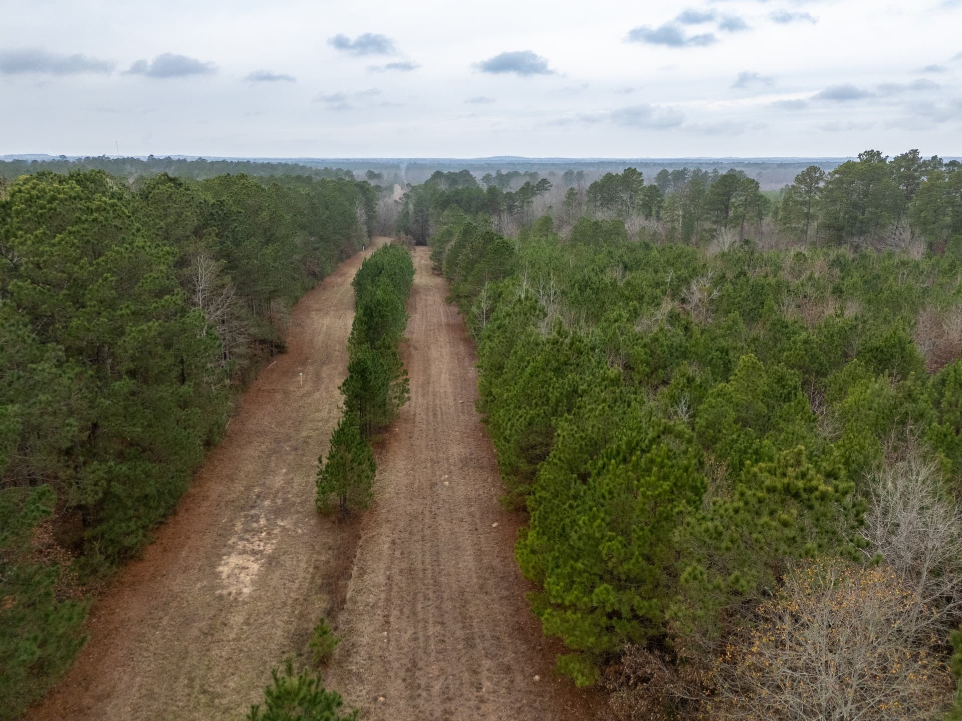 25 acres in Harrison County - photo 23