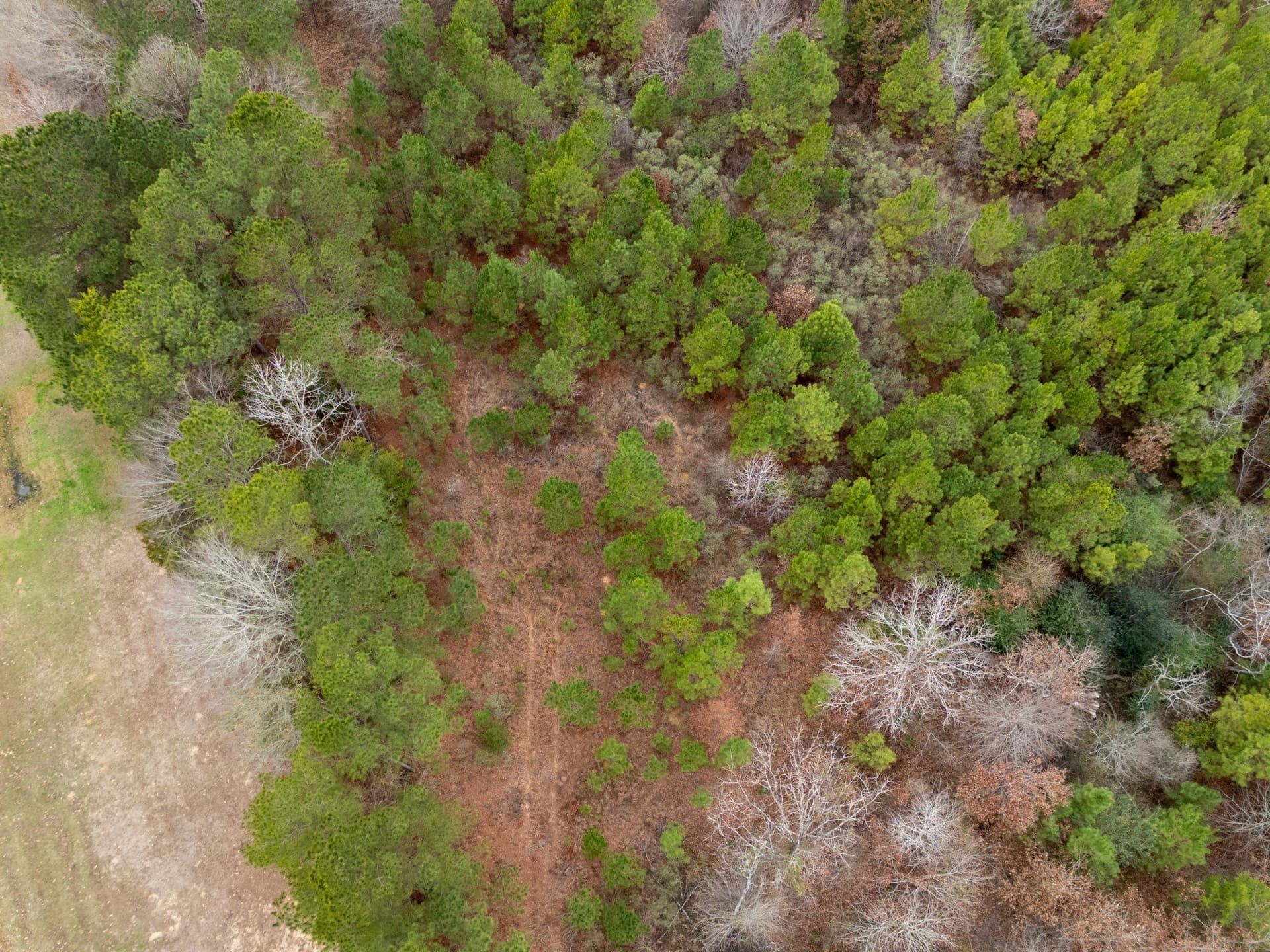 25 acres in Harrison County - photo 8