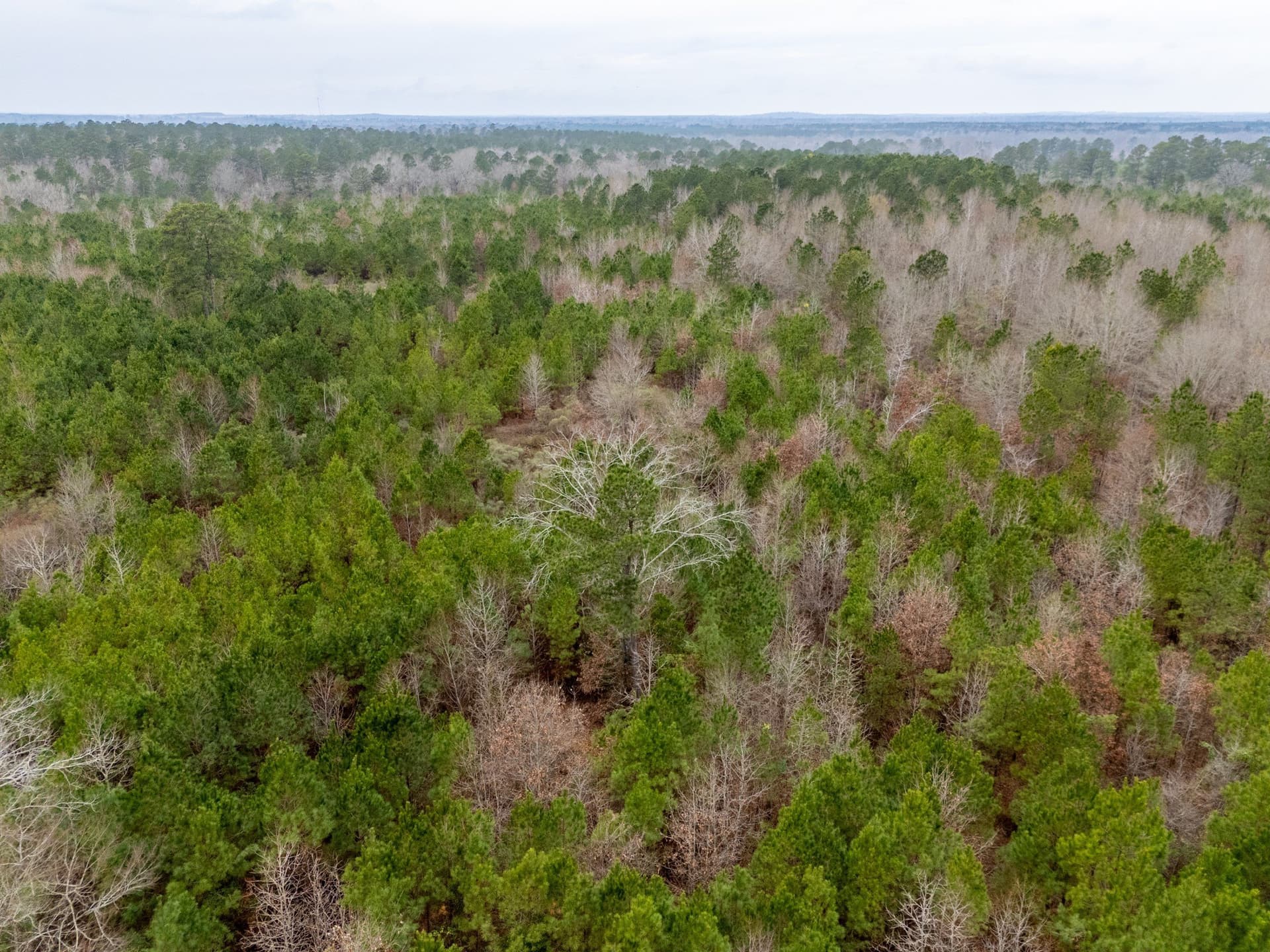 25 acres in Harrison County - photo 18