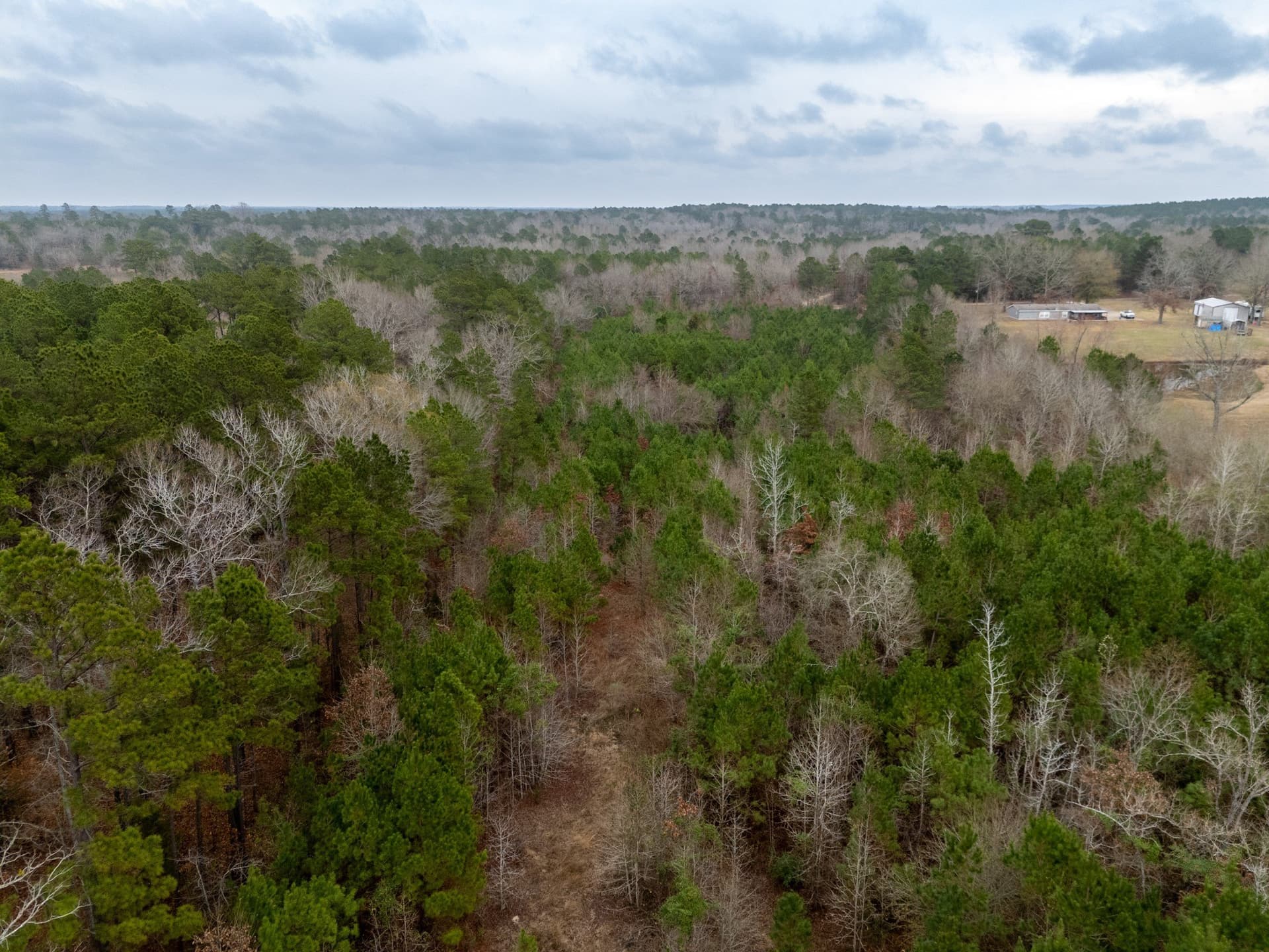 25 acres in Harrison County - photo 13