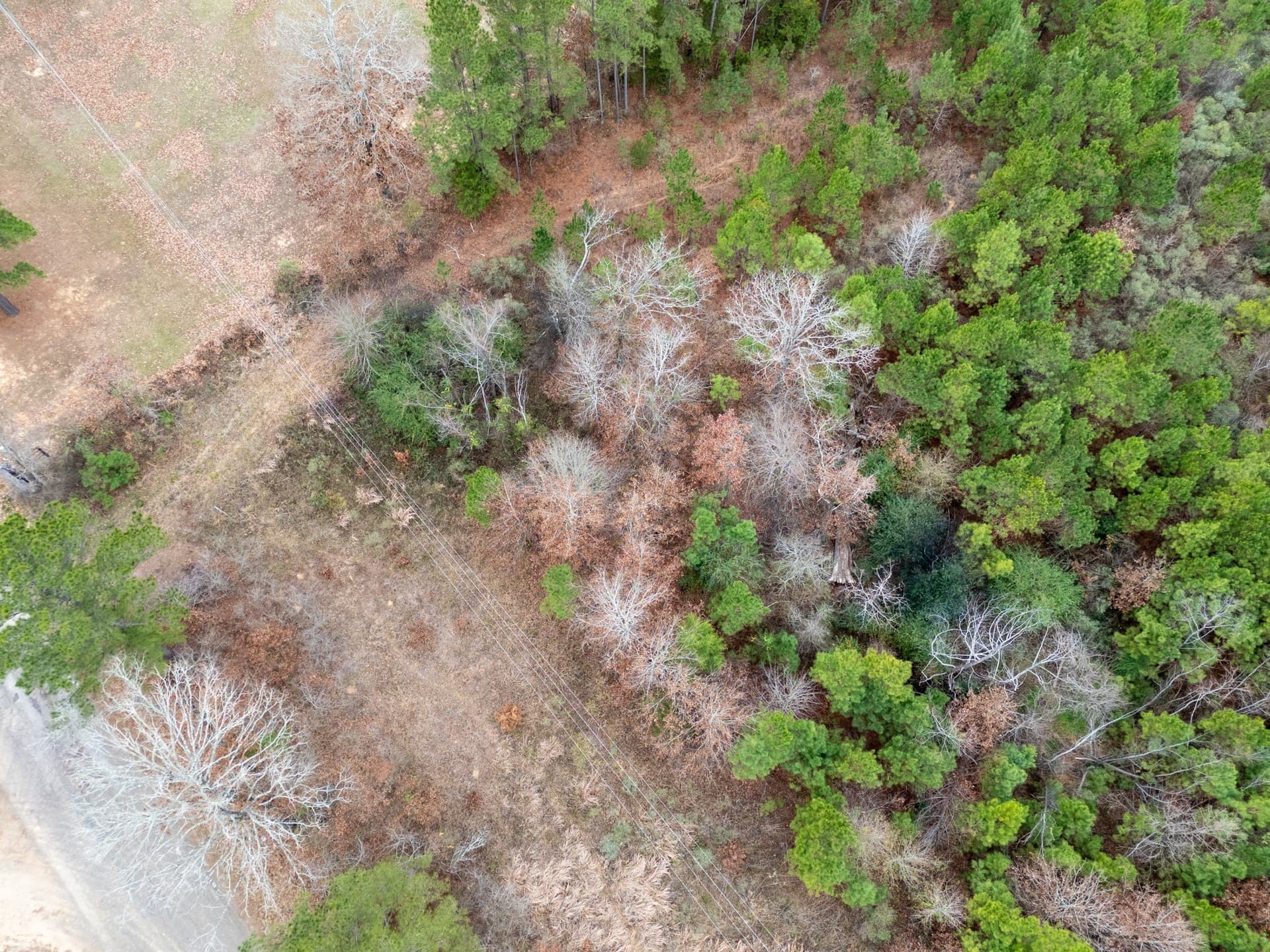 25 acres in Harrison County - photo 7
